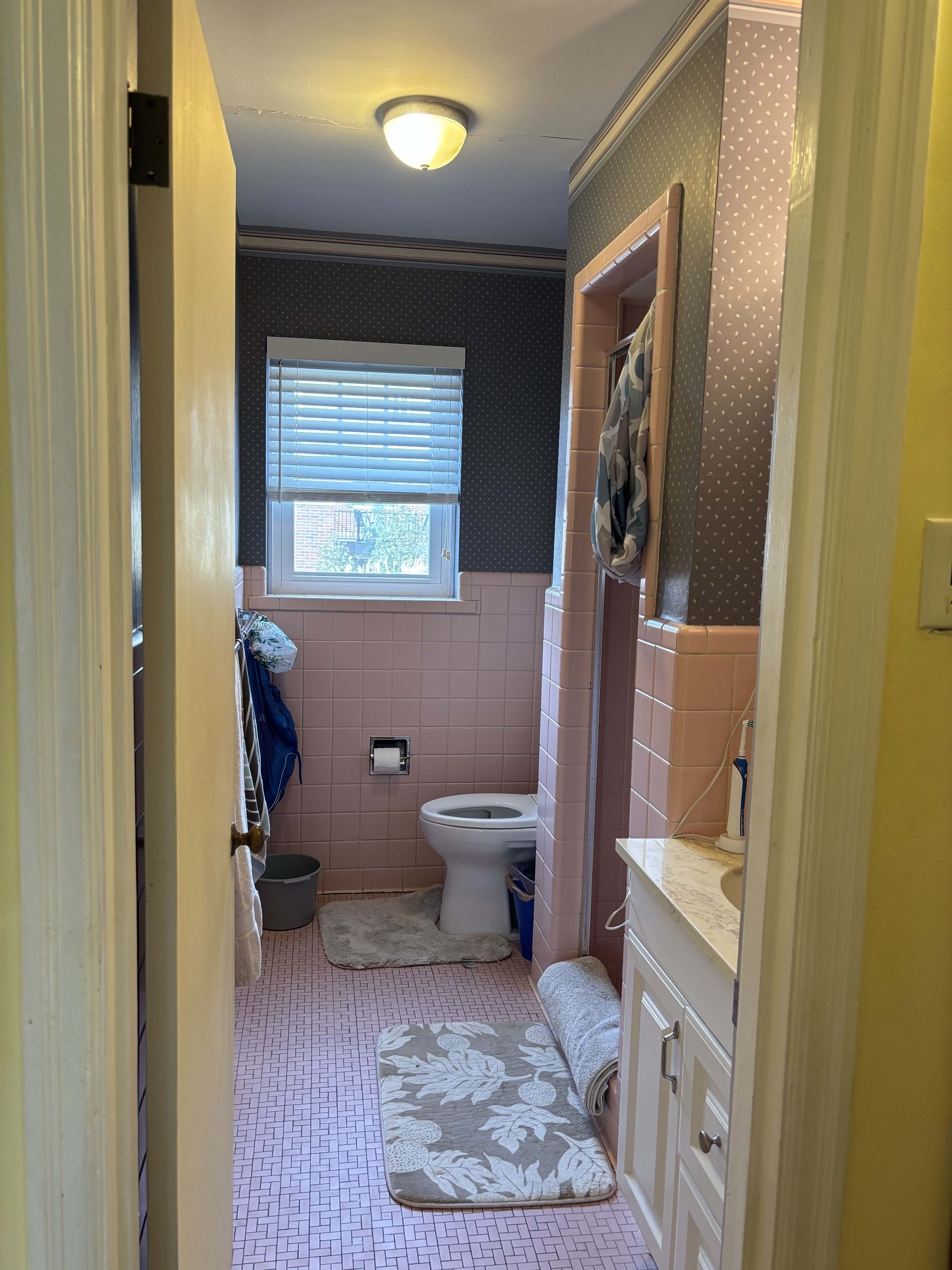 Pink Bathroom before renovation